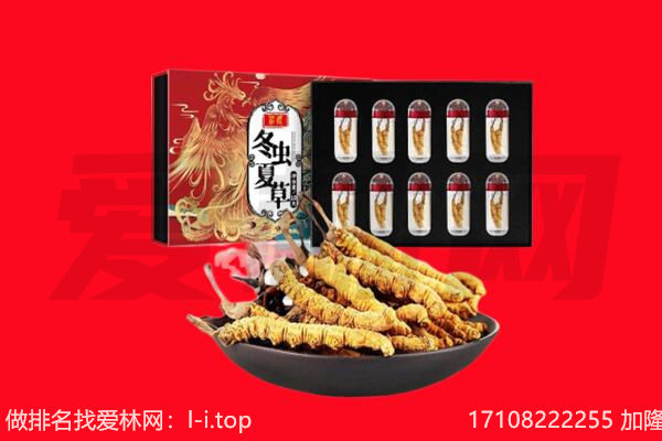 玉溪市回收虫草.jpg